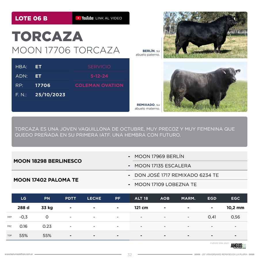Lote RP 17680 y RP 17706 - VAQUILLONAS ELECCIÓN PP