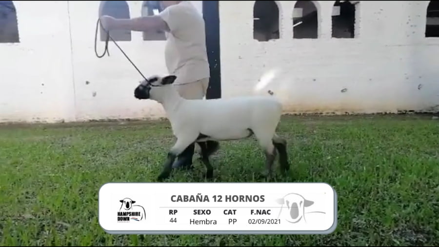 Lote LOTE 1C BOZAL - RP 44