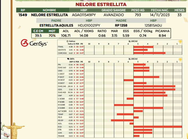 Lote LOTE 63