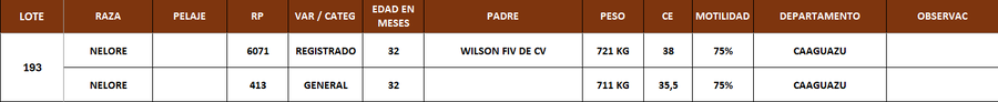 Lote LOTE 193
