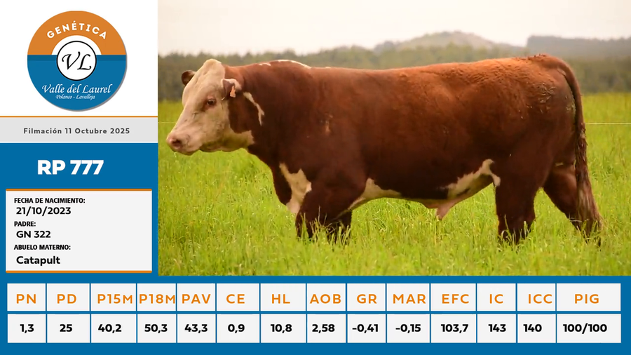 Lote RP 777 - Valle del Laurel