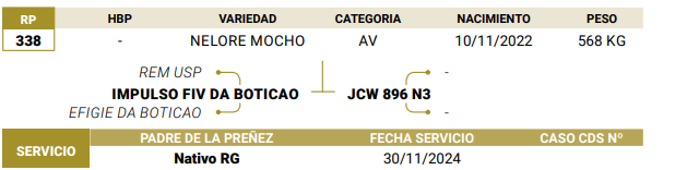 Lote LOTE 53