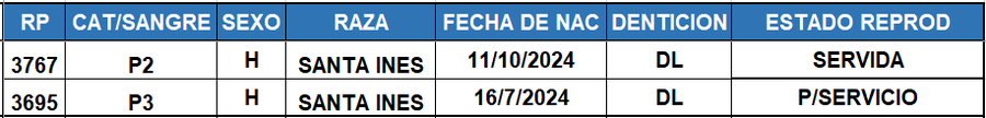 Lote LOTE 45