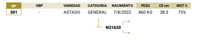 Lote LOTE 4