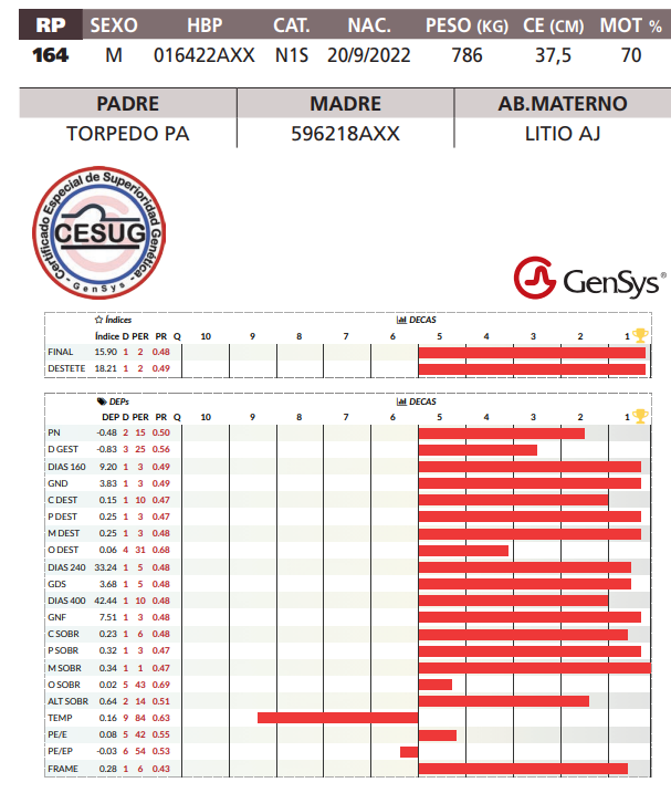 Lote LOTE 18