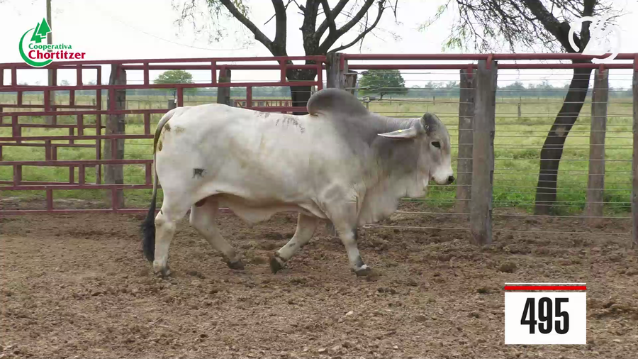 Lote Brahman
