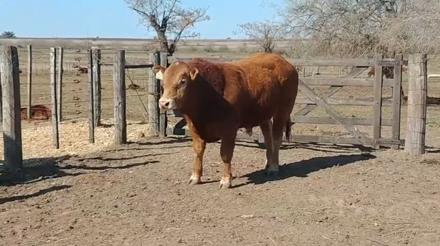 Lote CABAÑA DON MATEO
