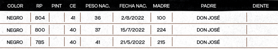 Lote "TRES MOLINOS"  TOROS  P.C.