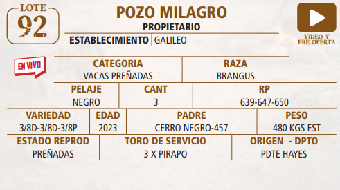 Lote LOTE 92 -EN VIVO