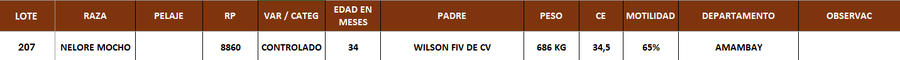 Lote LOTE 207 - POR PANTALLA