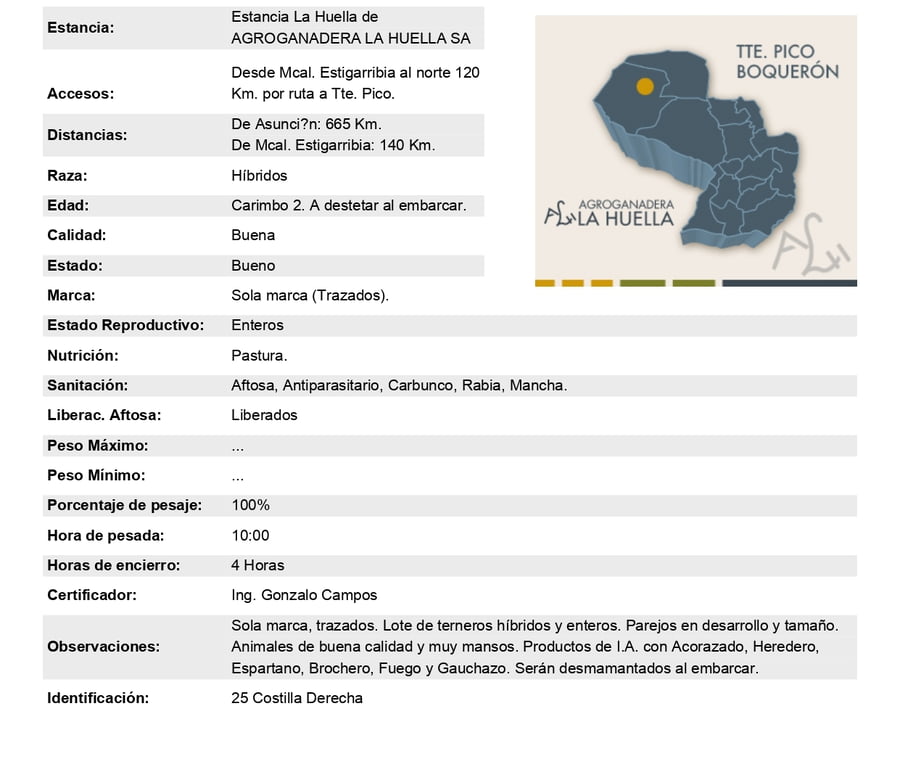 Lote Lote 18