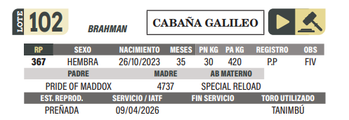 Lote LOTE 102