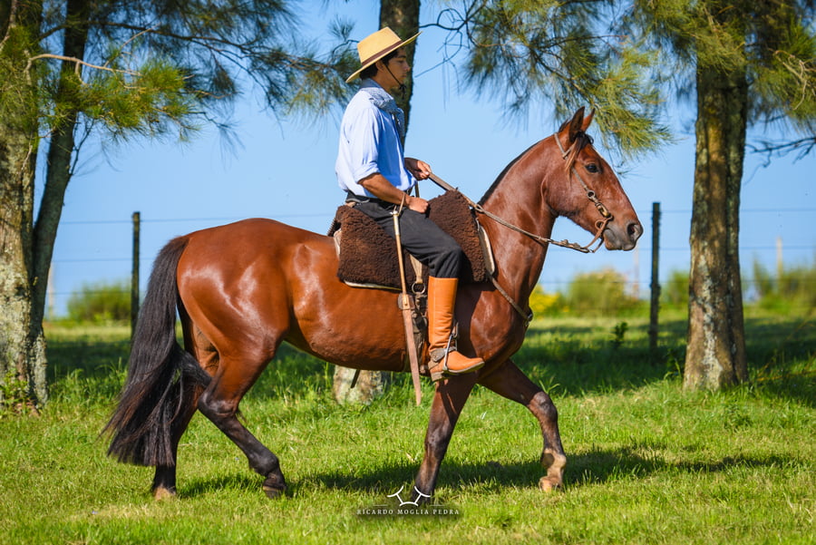 Lote El Gavilán Malarriado (RP 421) Cabaña "El Gavilán"