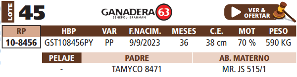 Lote LOTE 45