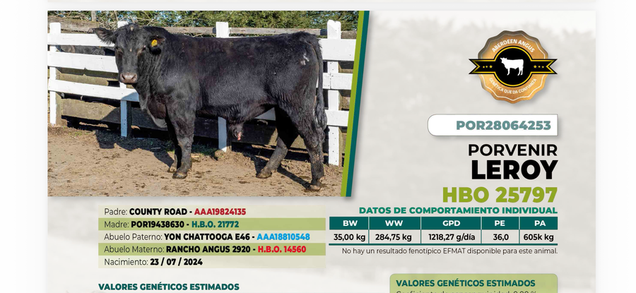 Lote 1 Toro LEROY DIIO 4253