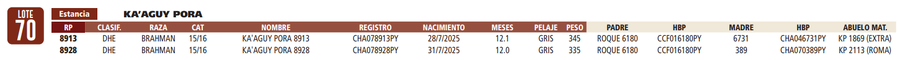 Lote LOTE 70