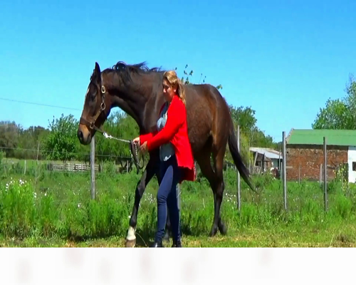 Lote CONFUNDIDO GOOD