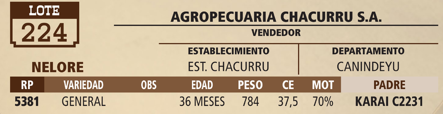Lote LOTE 224 - VIVO
