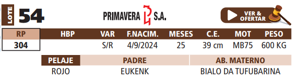 Lote LOTE 54