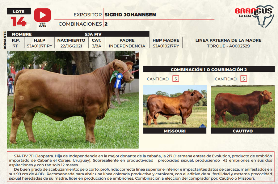 Lote LOTE 14