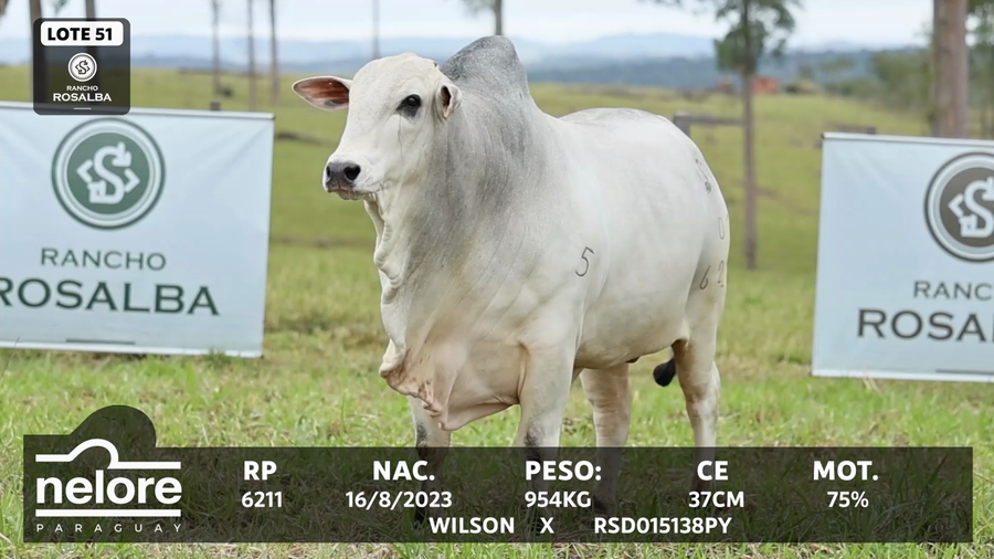 Lote LOTE 51