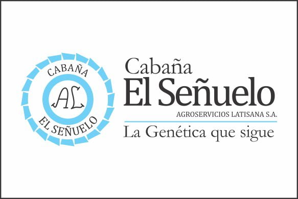 Lote 1 Toros PP en La Carlota, Córdoba