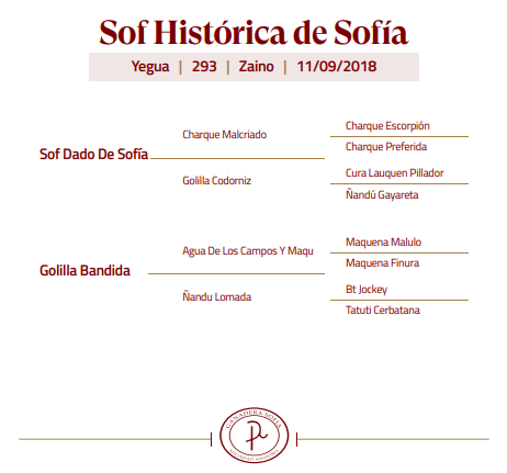 Lote Lote 2 Caballo Criollo RP 293