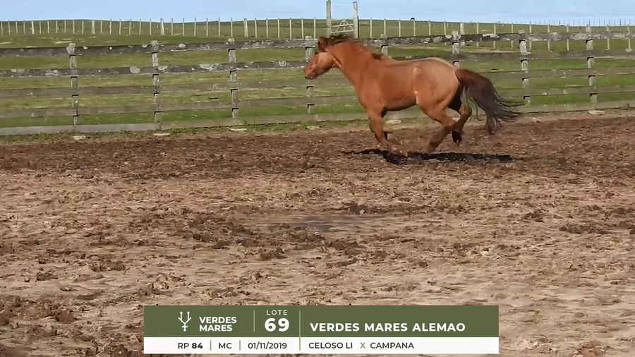 Lote VERDES MARES ALEMAO