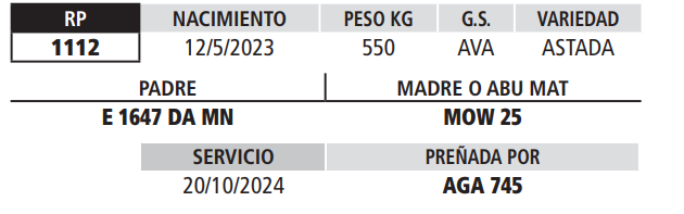 Lote LOTE 23