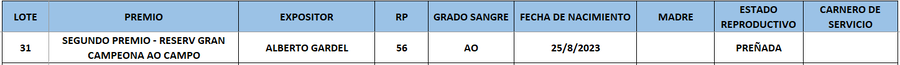 Lote LOTE 31