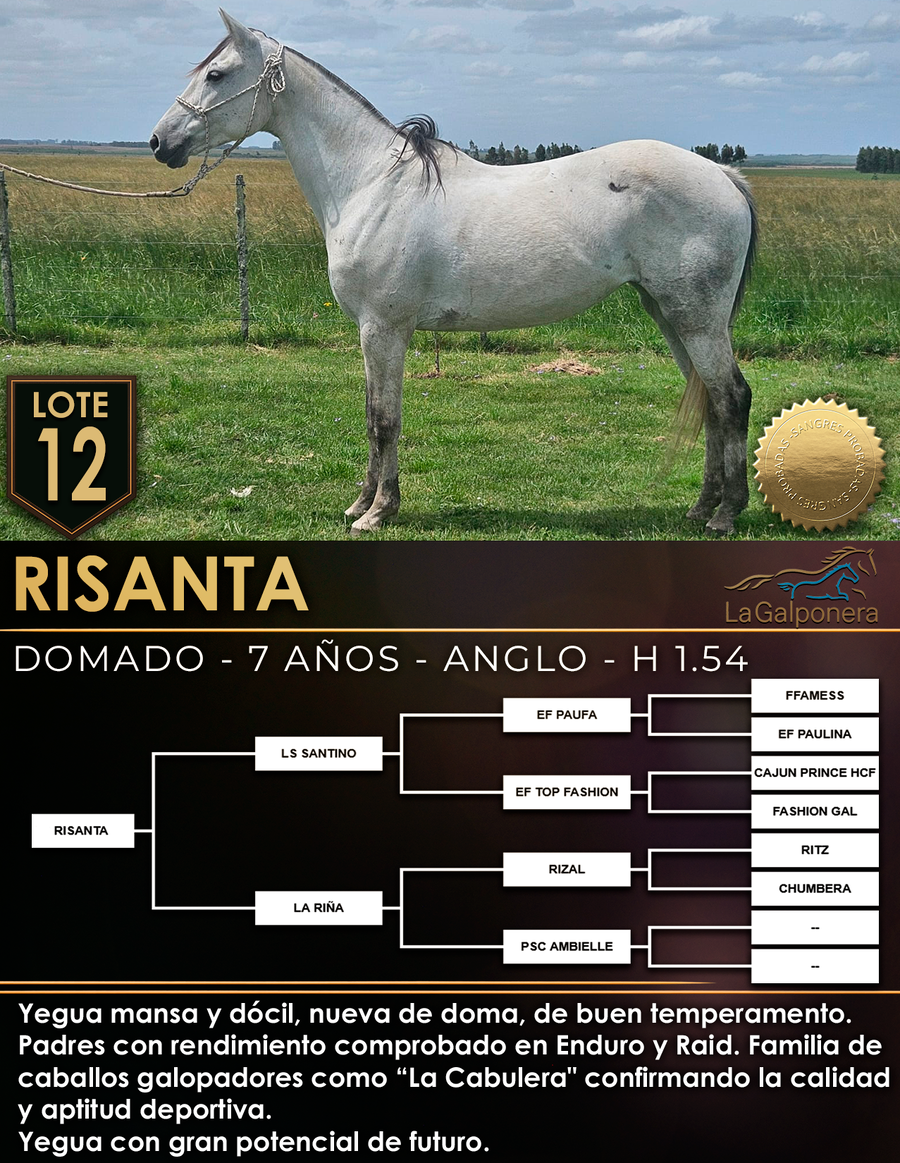 Lote RISANTA