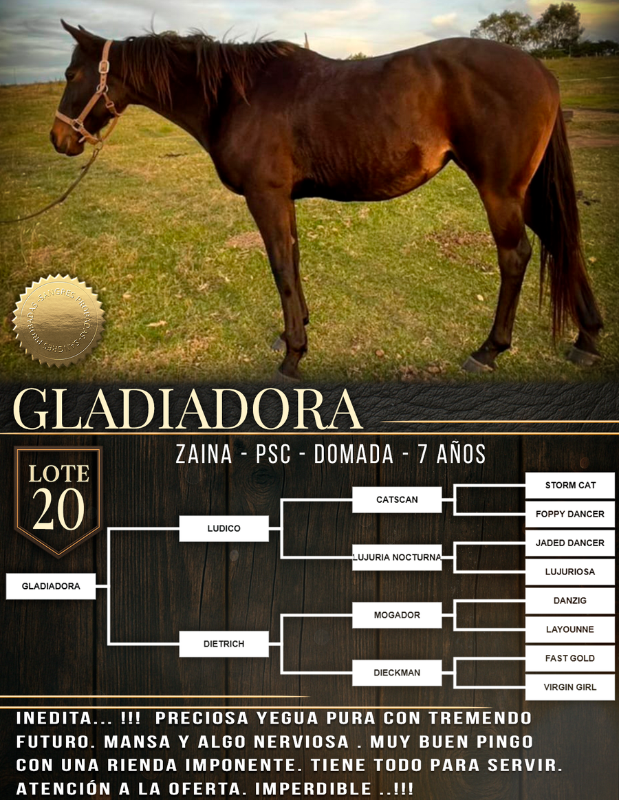 Lote GLADIADORA