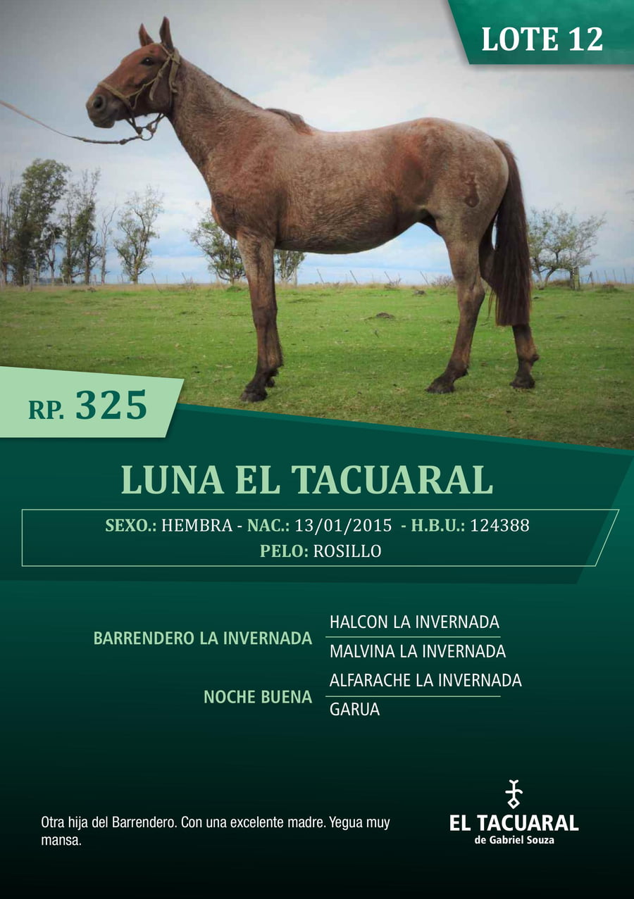 Lote LUNA EL TACUARAL - R.P. 325