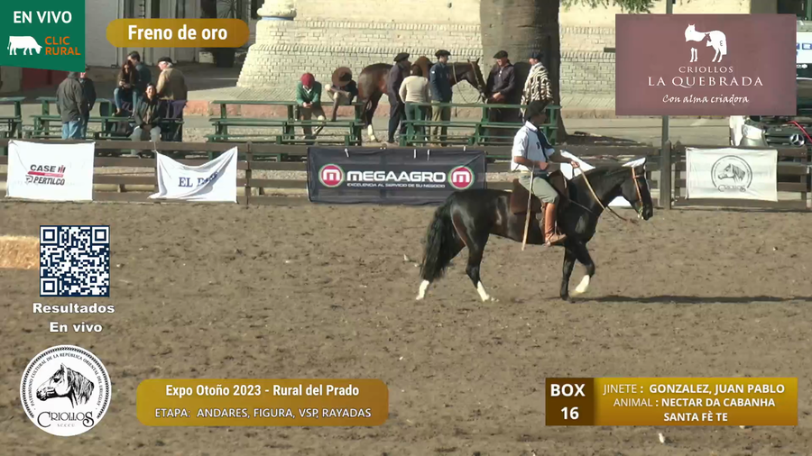 Lote NECTAR DA CABANHA SANTA FÈ TE - O´BRIEN FERNANDEZ, NICOLAS