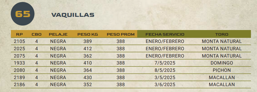 Lote LOTE 65