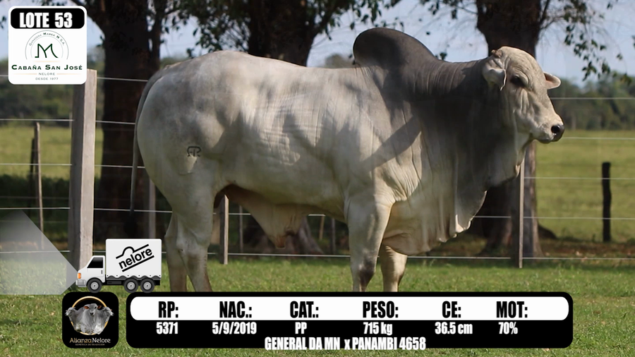 Lote LOTE 53  RP 5371