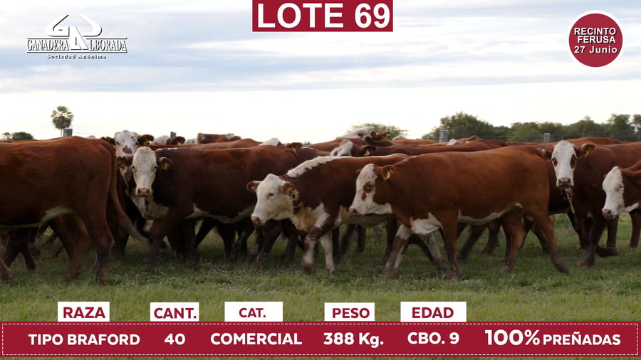 Lote Reproductores de Alborada - Lote 69