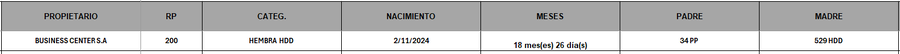 Lote LOTE 2
