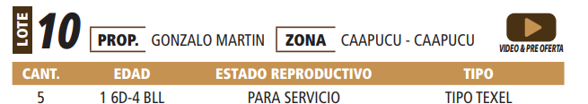 Lote LOTE 10 -POR PANTALLA