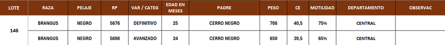 Lote LOTE 146
