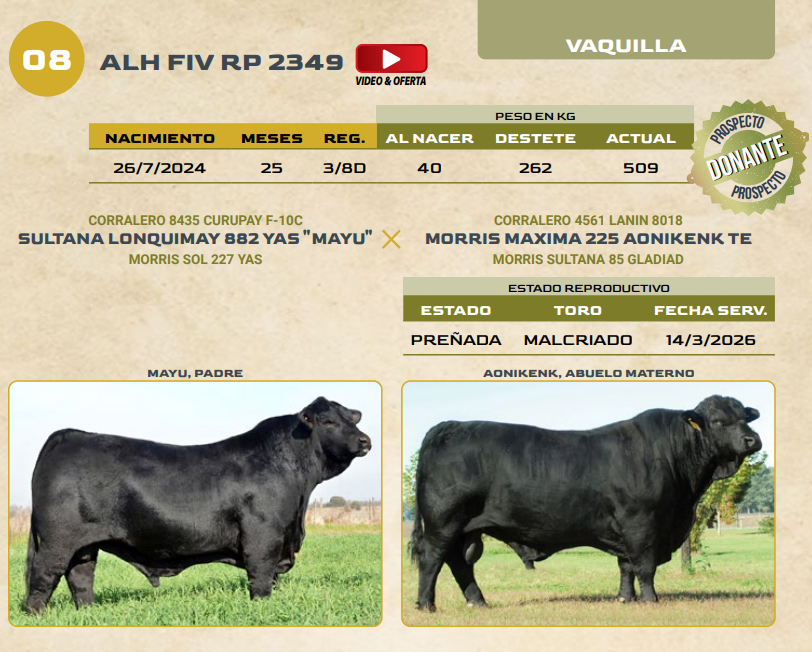 Lote LOTE 8
