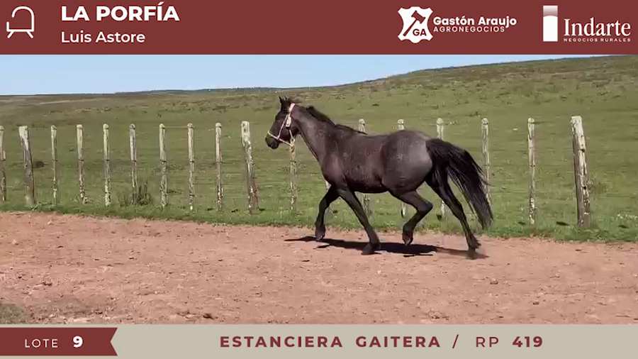 Lote ESTANCIERA GAITERA