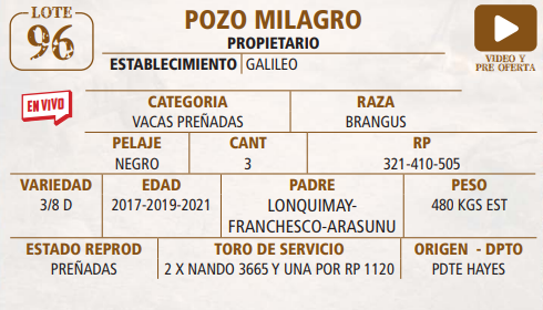 Lote LOTE 96 -EN VIVO