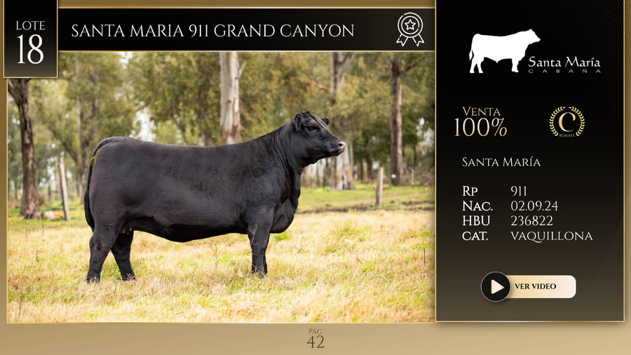 Lote SANTA MARIA 911 GRAND CANYON