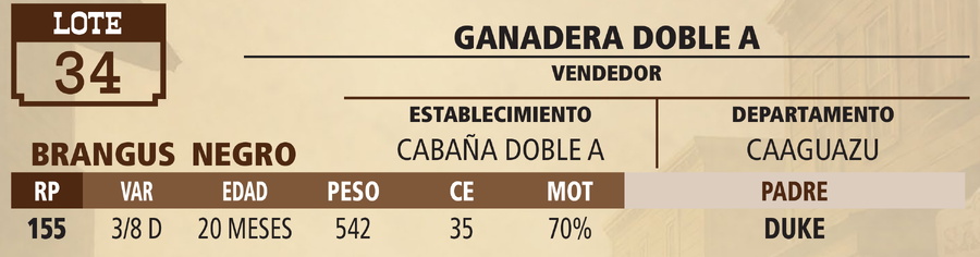 Lote LOTE 34 - PANTALLA