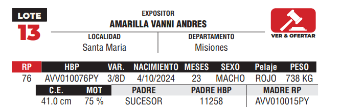Lote LOTE 13 - DE CAMPO