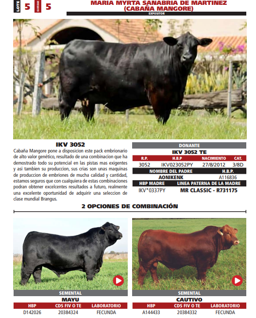 Lote LOTE 5