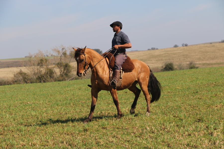 Lote YO SOLITO DEL CONVENTOS