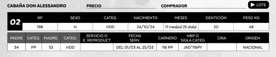 Lote LOTE 2