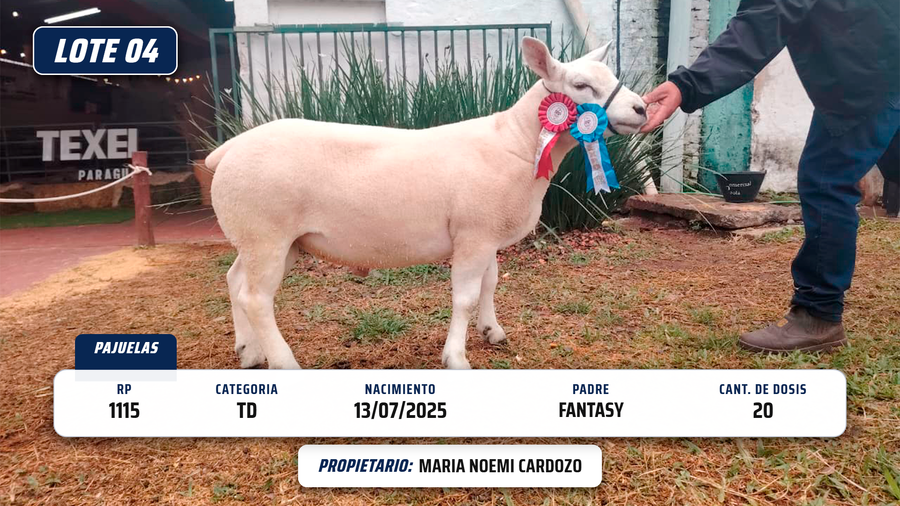 Lote LOTE 4